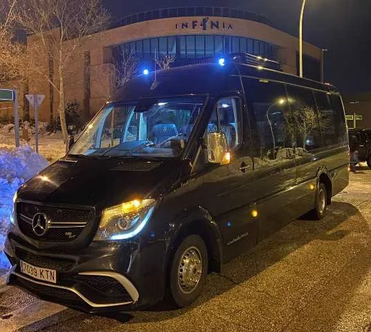 Cuánto vale alquilar un minibús para una excursión