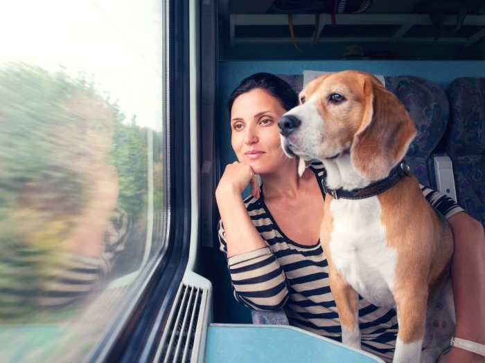Requisitos para viajar en autobús con mascotas