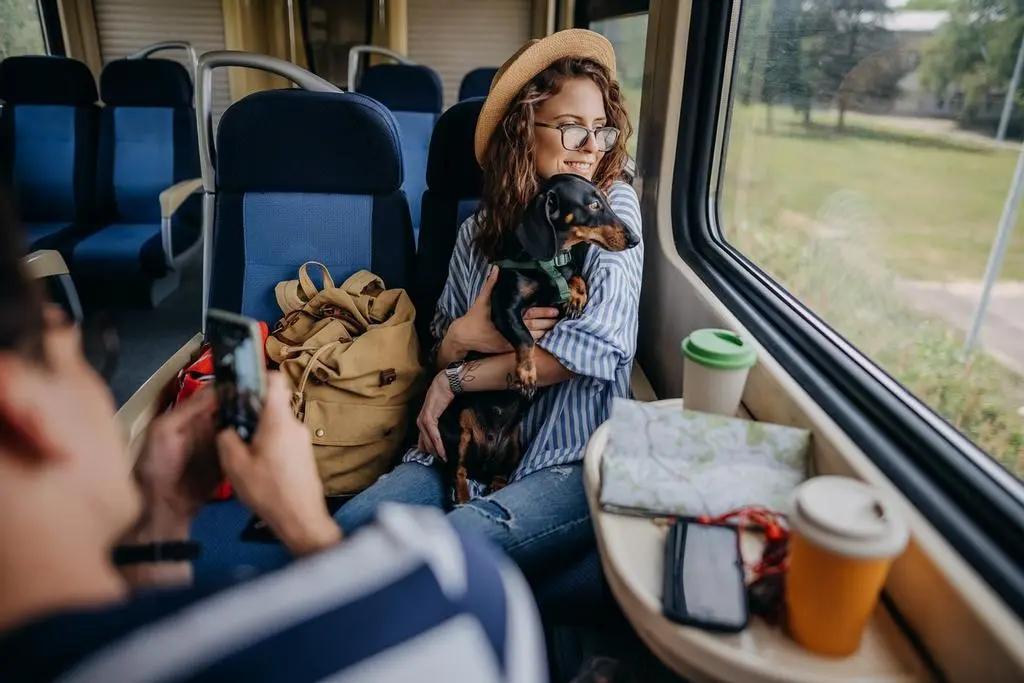 Se puede viajar en autobús con mascotas