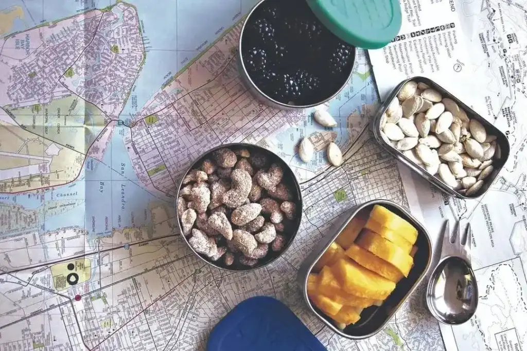 Qué alimentos no se deben llevar en un viaje largo en bus