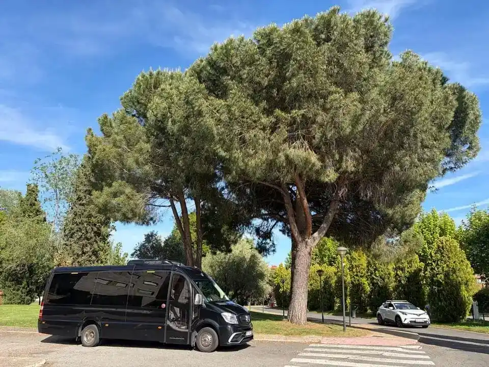 Eventos para los que se alquila un autobús de 30 plazas